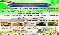 دومین رویداد محصولات زراعی، باغی و دامی  شهرستان سلطانیه با غرفه های متنوع فروش محصولات شهرستان توسط تولید کننده ها و برنامه های آموزشی و مشاوره های رایگان حوزه کشاورزی